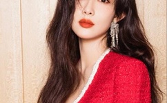 老阿姨哔哩哔哩B站肉片茄子芒果